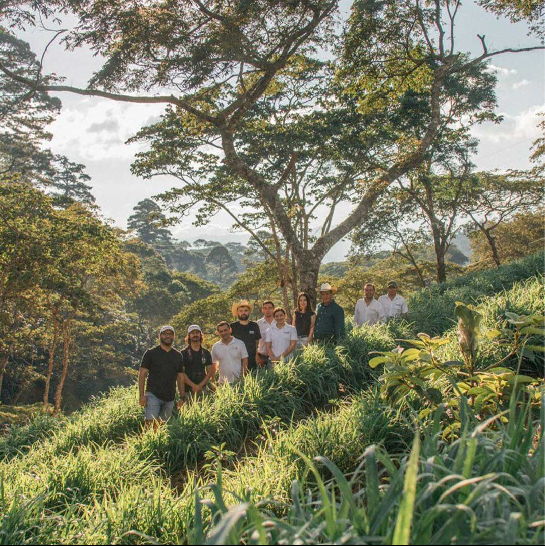 Proexo Filter – Honduras